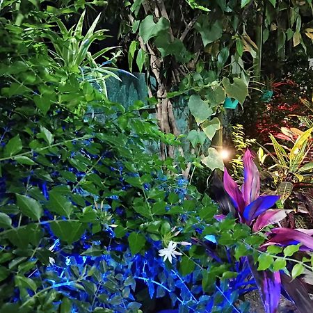 Green View Homestay Siliguri Eksteriør bilde