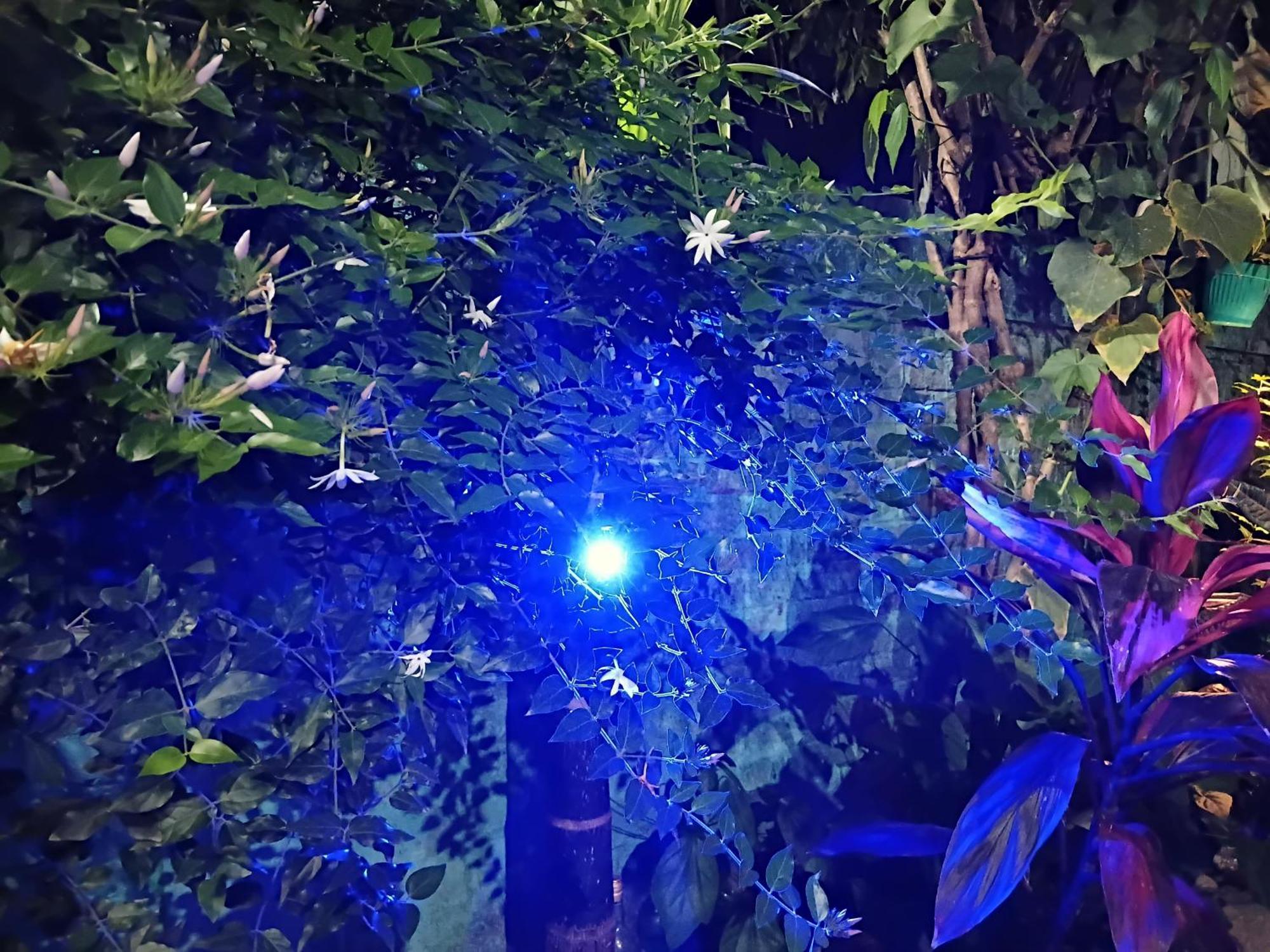 Green View Homestay Siliguri Eksteriør bilde